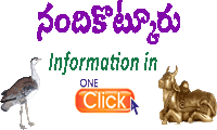 Nandikotkur Information